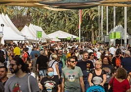 Edición pasada de la Fireta del Camp d'Elx.