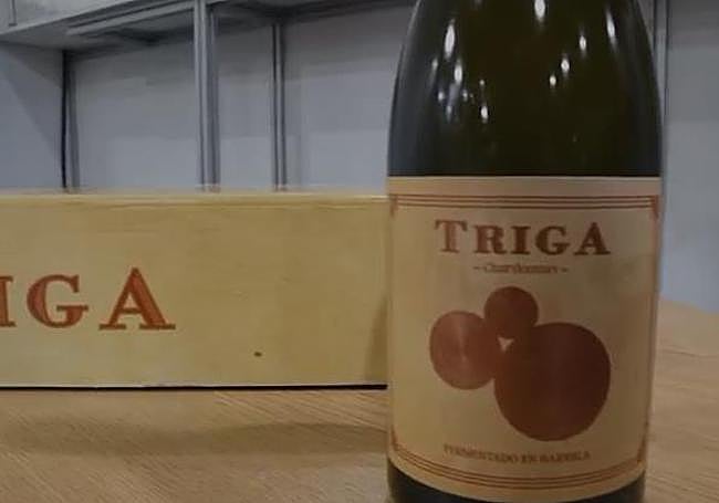 Imagen secundaria 2 - Adrián Cañizares, hijo del propietario, junto a la responsable de enoturismo de la bodega, Cristina Rodríguez.