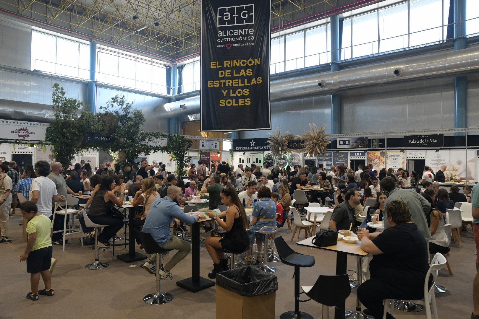 Un paseo entre Soles y Estrellas en Alicante