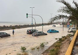 La avenida de Elche, inundada, a su paso por El Palmeral.