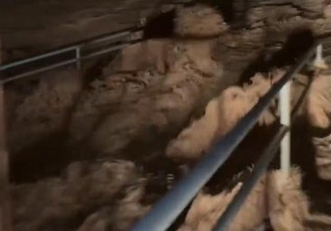 La dana se ceba con Pilar de la Horadada durante la madrugada: 72 personas evacuadas