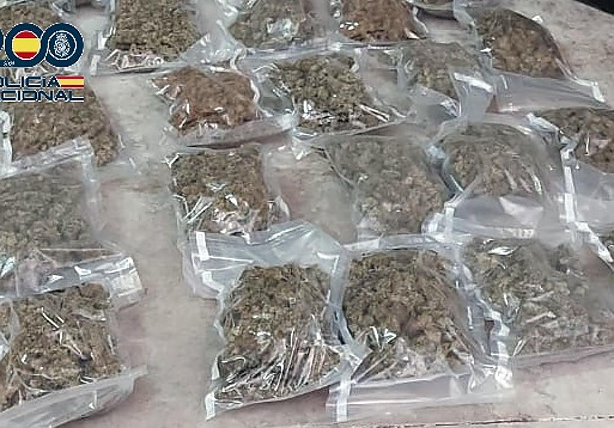 Parte de la droga intervenida a la organización criminal.