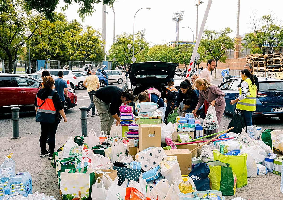 Imagen secundaria 1 - Recogida en el centro de tecnificación de Alicante. 