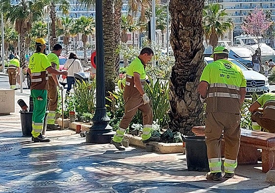 Operarios de Parques y Jardines, en la plantación de primavera en la Explanada.
