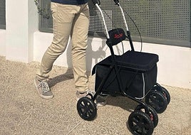 Nuevo carrito de la compra.