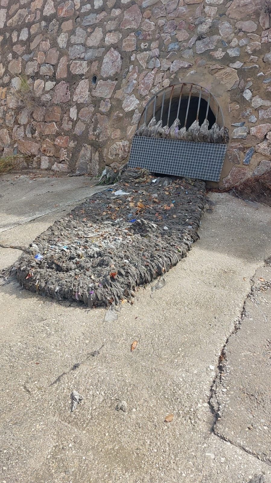 Residuos atrapados en las mallas del colector.