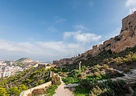 Ladera del monte Benacantil.