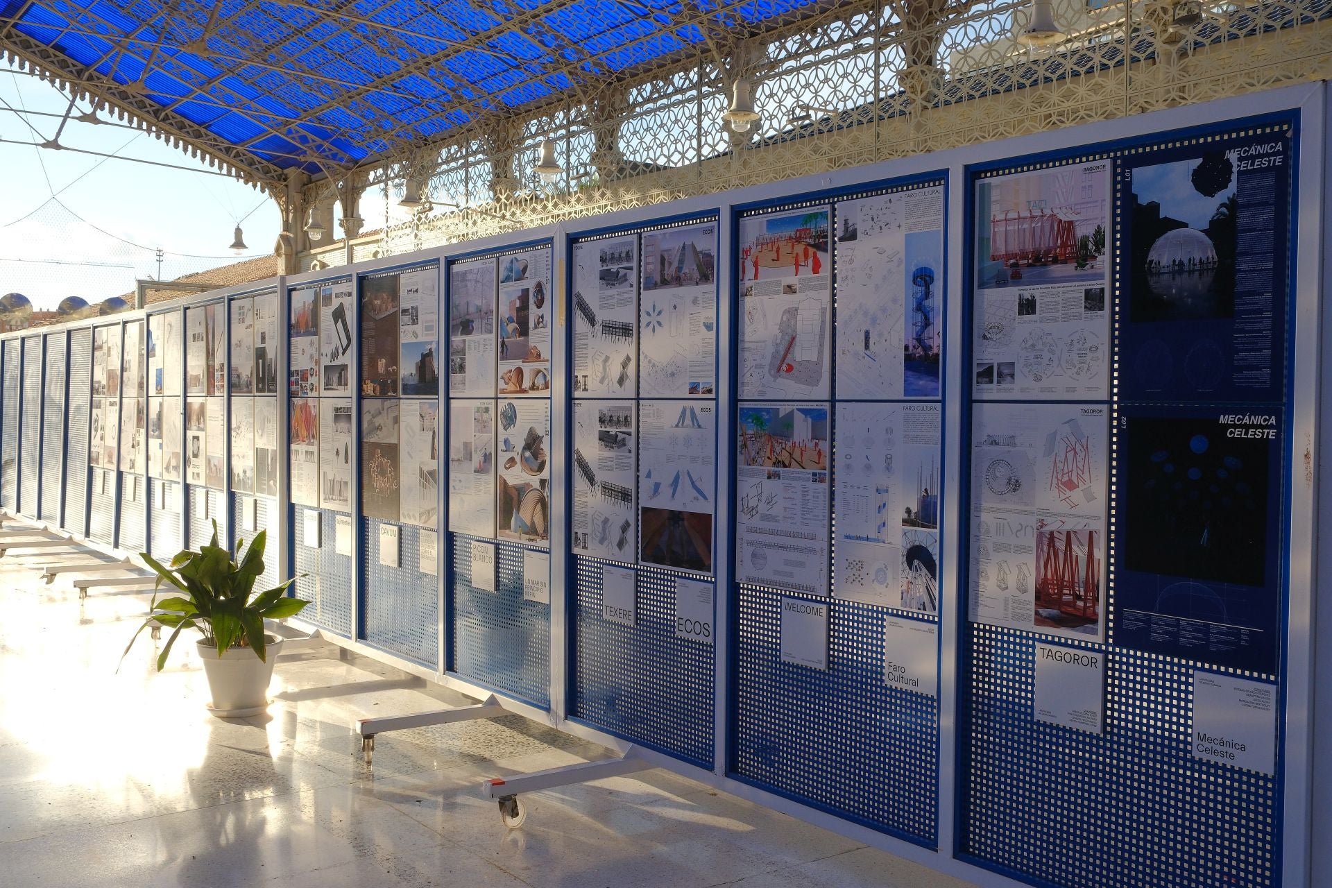 Arte con fecha de caducidad en Alicante