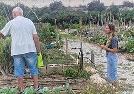 Huertos Municipales Ecológicos de Elda.
