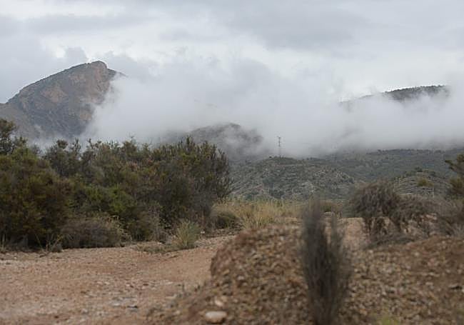 Low clouds during the Alice storm.