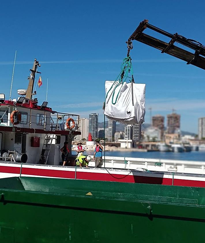Imagen secundaria 2 - Participantes de las Jornadas SAVE durante la acción ambiental en el Peñón de Ifach de Calp.