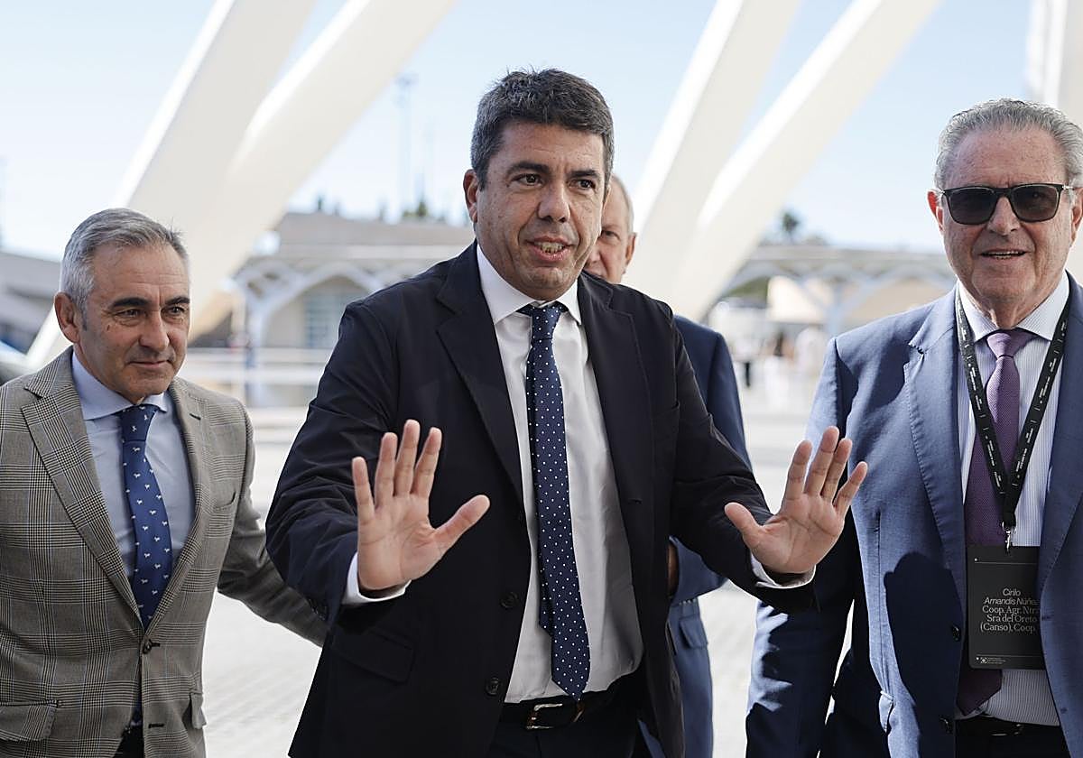 Imagen del presidente, Carlos Mazón.