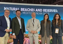 Elche presenta su destino «Oasis Mediterráneo» en la feria World Travel Market de Londres ante profesionales del sector turístico británico.