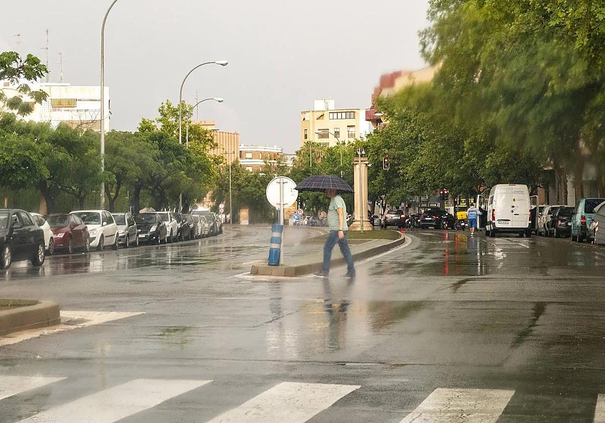 Rain episode in the city of Alicante.