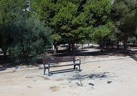 Hoguera con restos de animales muertos en el parque Juan Pablo II.