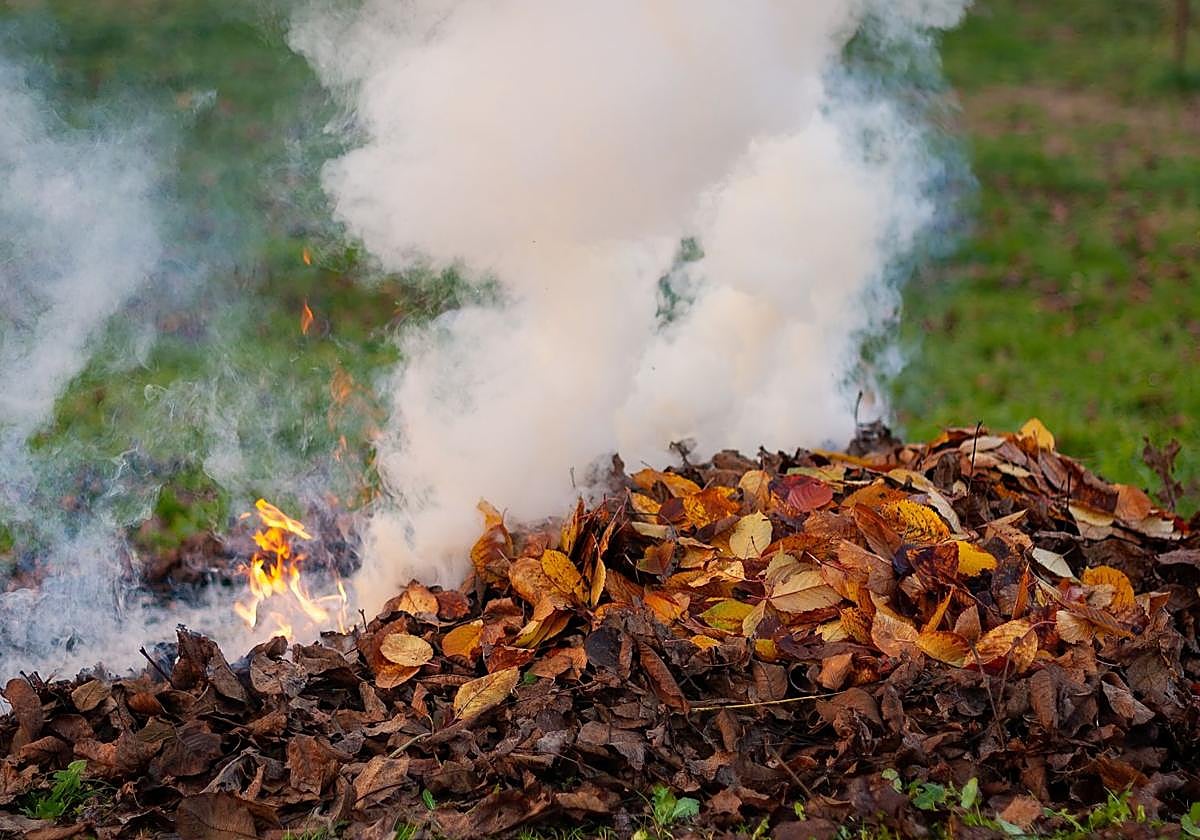 El nuevo Plan de Quemas Agrícolas de Villena busca reducir riesgos y simplificar los trámites para agricultores.