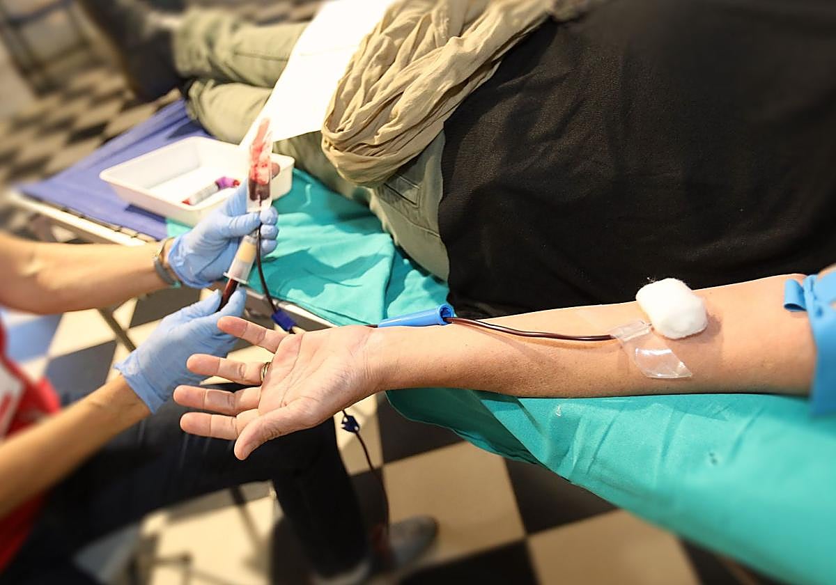 The Alicante Provincial Council has been collaborating with the Valencian Community Blood Transfusion Centre since 2003.