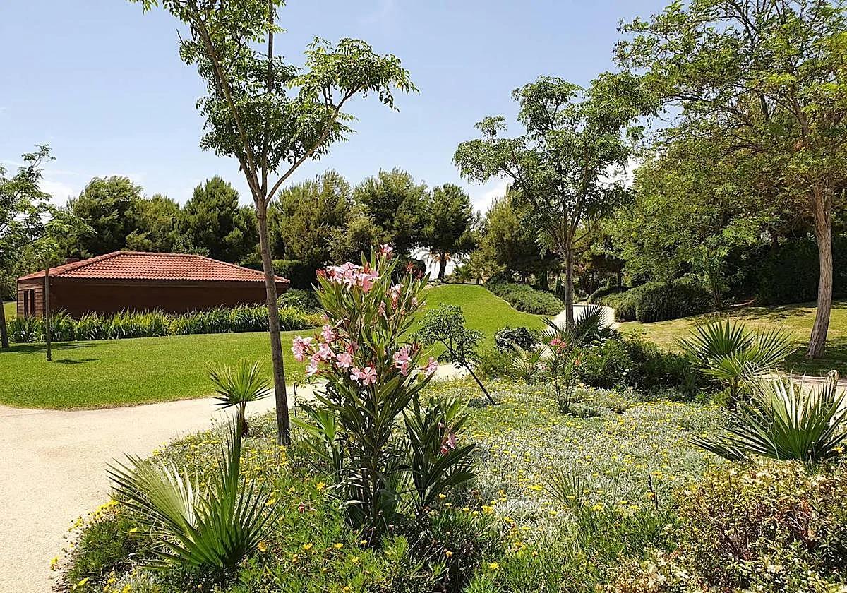 Imagen principal - La producción de almendra remonta en Alicante y la cosecha doblará a la del año pasado con 16.500 toneladas