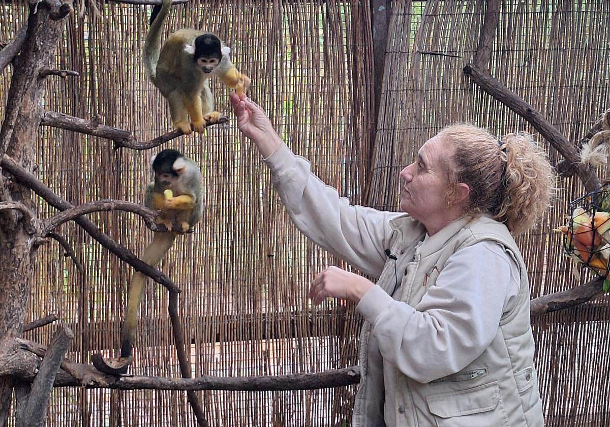 Una de las veterinarias de Terra Natura Benidorm administra alimentos con vitaminas.