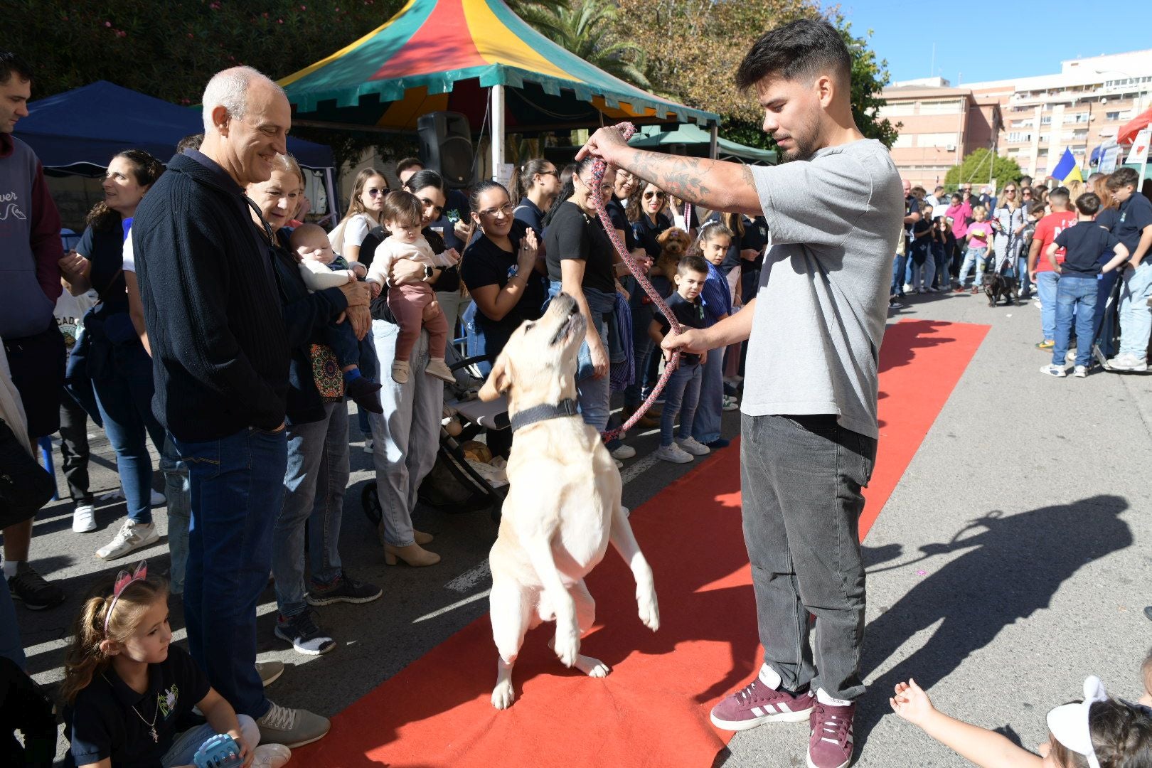 La Navidad se adelanta en Alicante en forma de mercadillo solidario