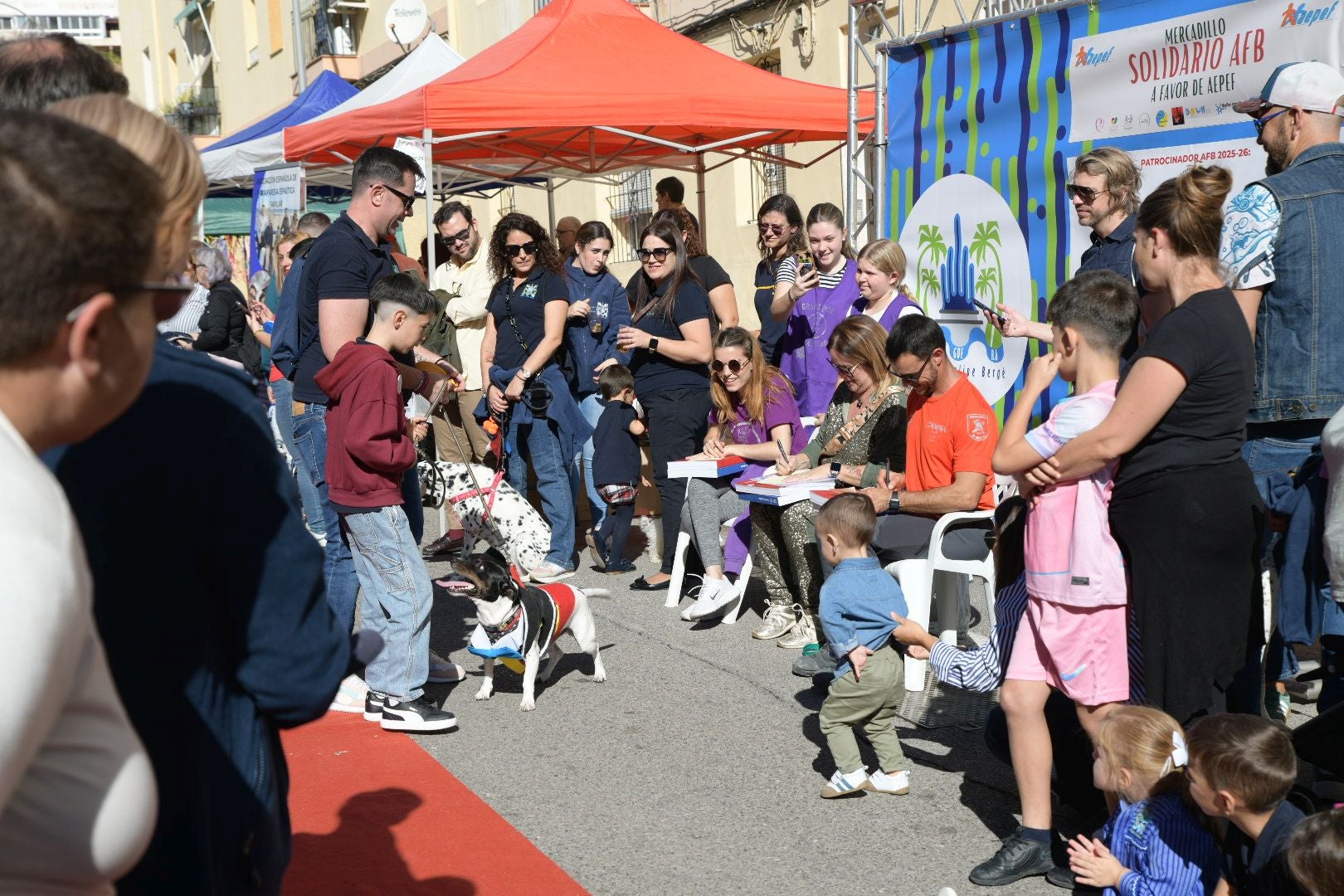 La Navidad se adelanta en Alicante en forma de mercadillo solidario