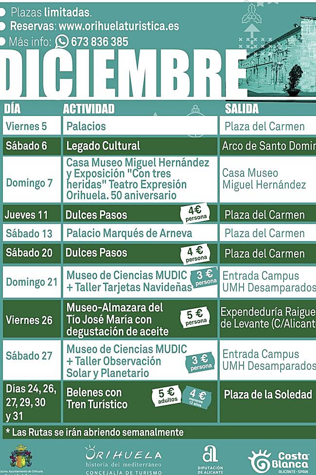 Programming of the activities.