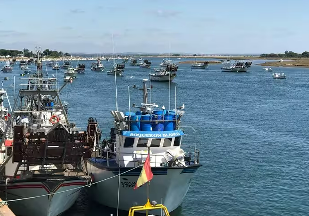 Fotos de archivo de barcos pesqueros.