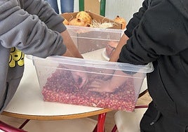 Alumnado de Educación Infantil participa en los talleres de la campaña escolar dedicada a la granada mollar de Elche.
