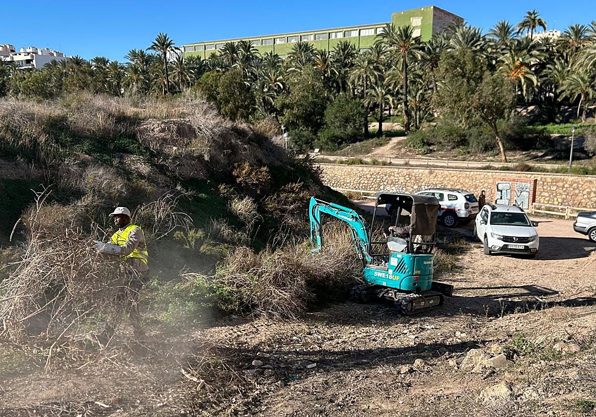 Initial cleaning and clearing work on the Riegos de Levante aqueduct to prepare for its future restoration.