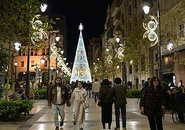 Árbol gigante de la Navidad y luces en la avenida de la Constitución.