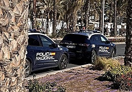 Imagen de archivo de dos patrullas de la Policía Nacional en Alicante.