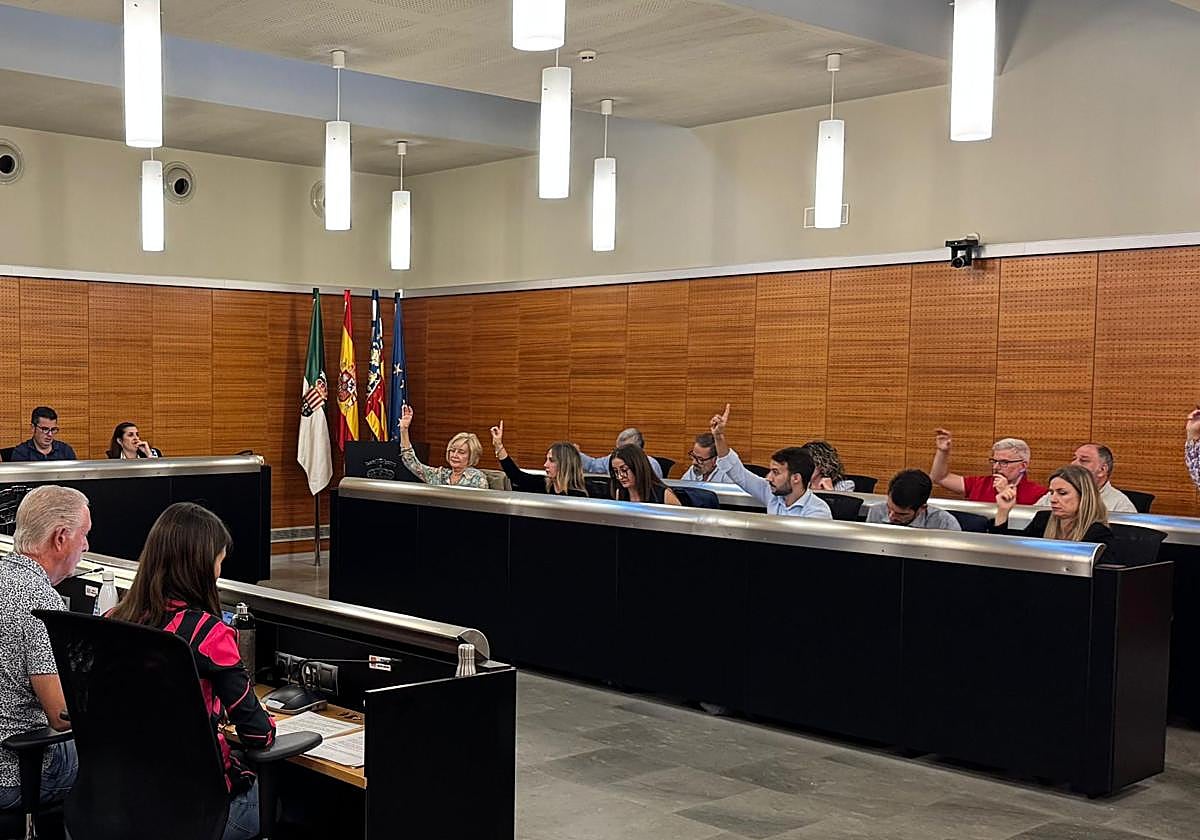 The municipal plenary session during the ordinary meeting held on November 26 in San Vicente del Raspeig.