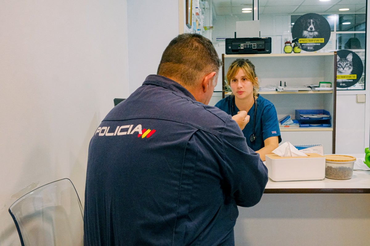La clínica veterinaria que cuida a los perros policía de Alicante, en imágenes