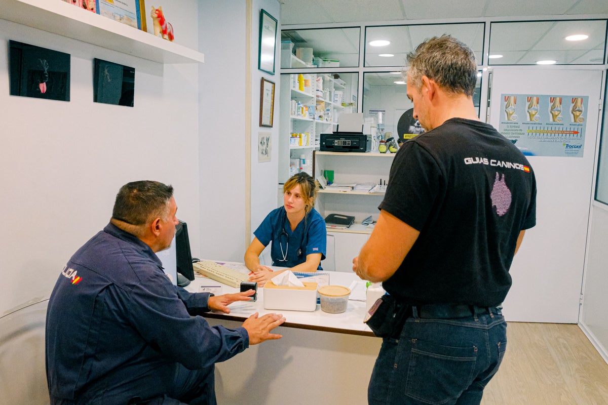 La clínica veterinaria que cuida a los perros policía de Alicante, en imágenes