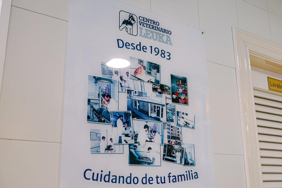 La clínica veterinaria que cuida a los perros policía de Alicante, en imágenes