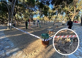 Parque Reina Sofía precintado/Pavos reales confinados.