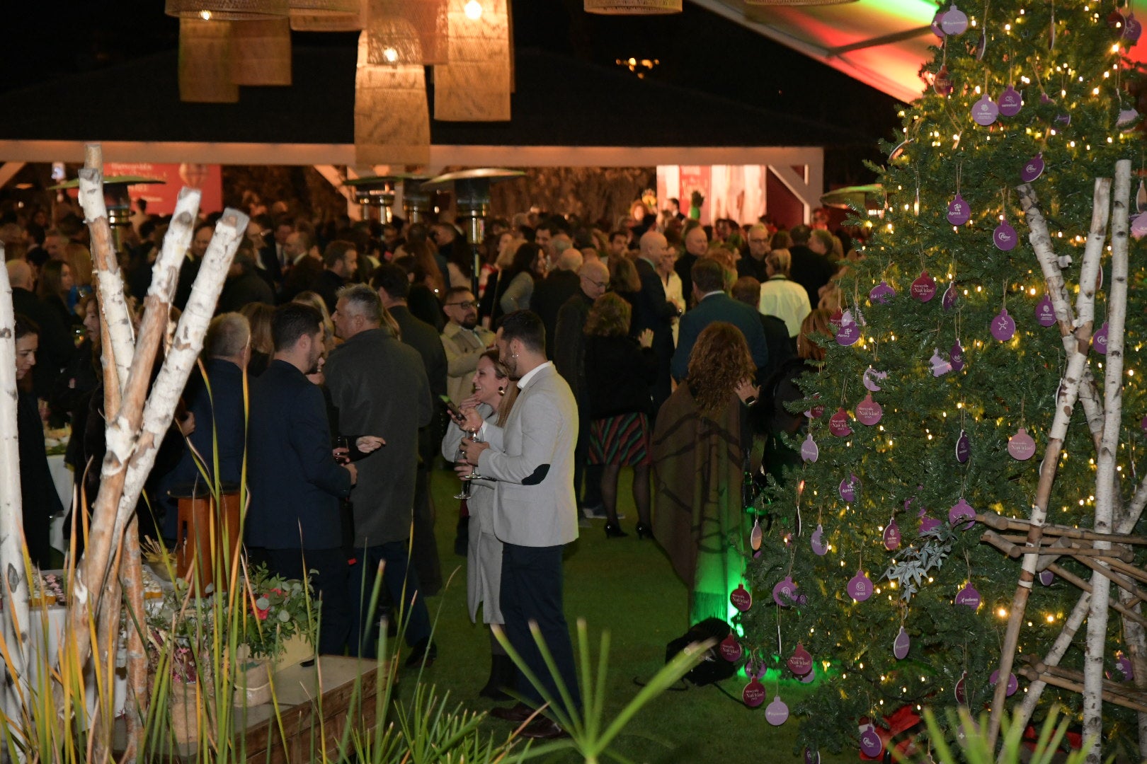 Cientos de asistentes dan la &#039;Bienvenida a la Navidad&#039; en la gala solidaria de Vectalia