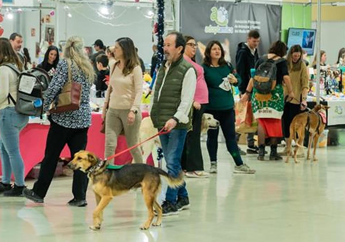 Expomascotas 2025 reunirá en IFA a miles de familias, profesionales y amantes de los animales en un fin de semana lleno de actividades y exhibiciones.
