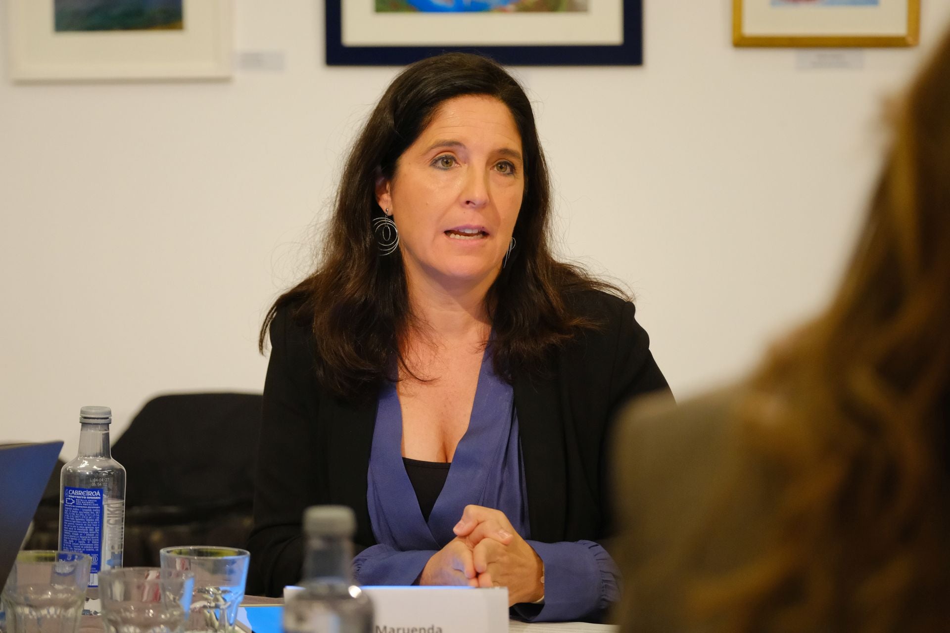 La mesa de expertos del Plan VIVE, en imágenes