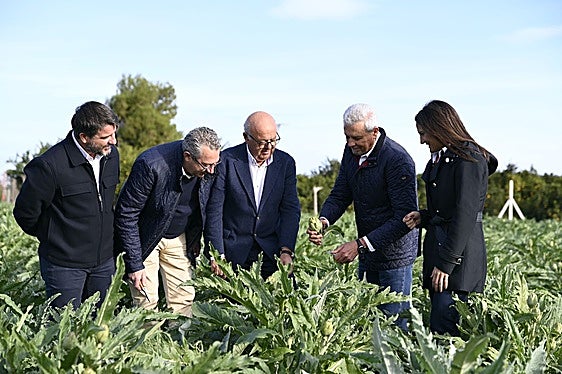 Inicio de la campaña con autoridades en un cultivo de alcachofas.
