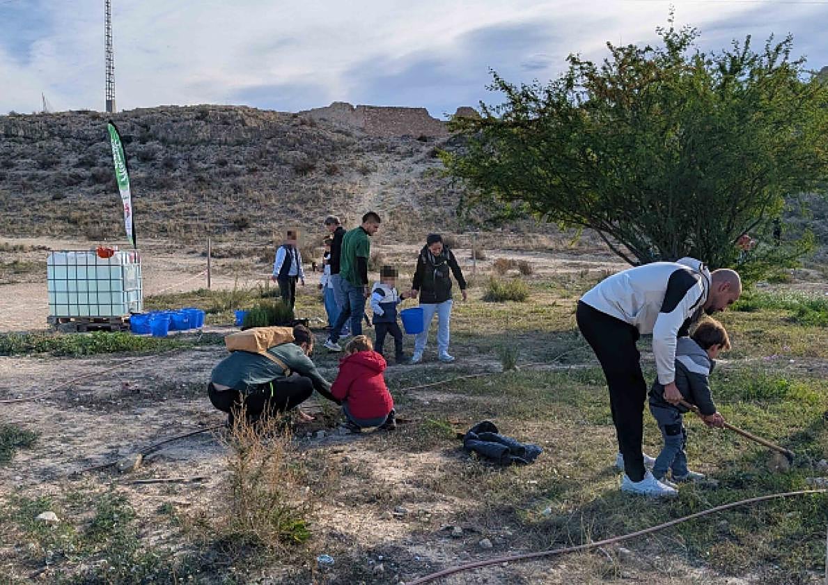 Children and adults participate in the ecological restoration activity organised this Saturday in the El Palamó-Villafranqueza area.