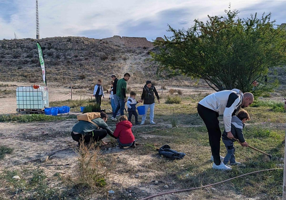 Niños y adultos participan en la actividad de restauración ecológica organizada este sábado en el paraje de El Palamó-Villafranqueza.