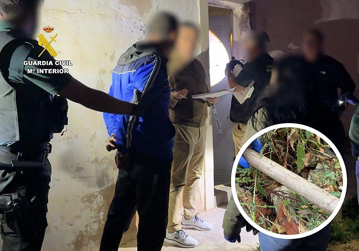 Detienen a un hombre en Pilar de la Horadada por matar a golpes con un ...